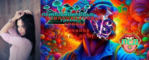 a pvp Дмитровск
