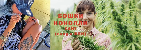 винт Дмитриев