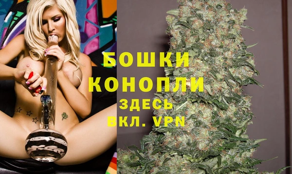 винт Дмитриев