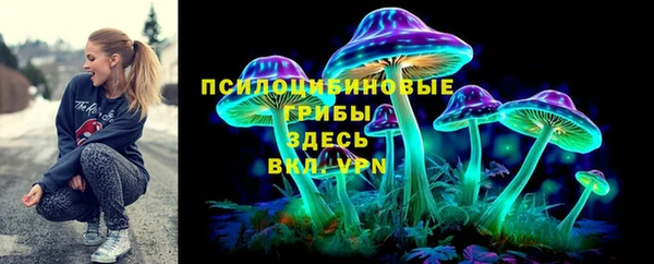 a pvp Дмитровск