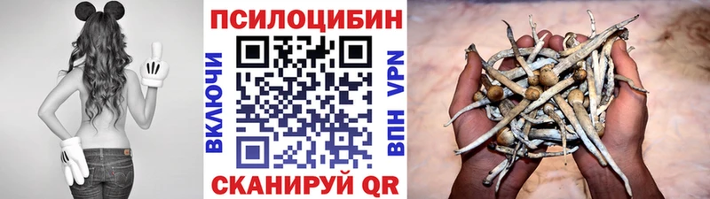 Псилоцибиновые грибы мухоморы  наркотики  Зарайск 